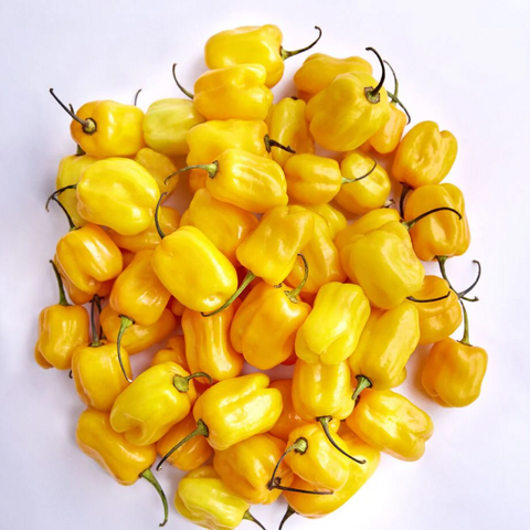 Yellow Greenhouse Habanero Pepper (0.5KG)